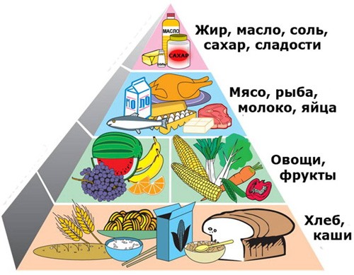 Пирамида-правильного-питания.jpg